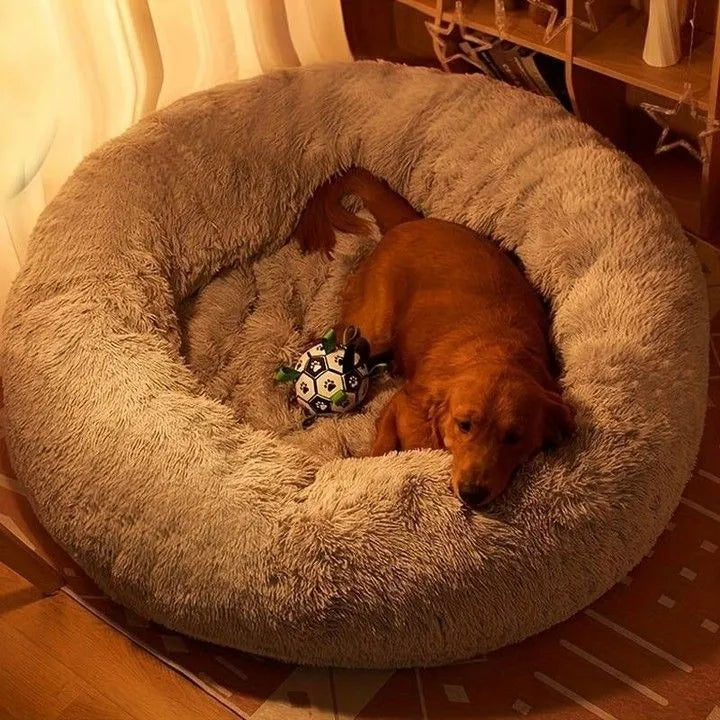 The Original Haven™ Calming Dog Bed - 40% OFF AND FREE SHIPPING