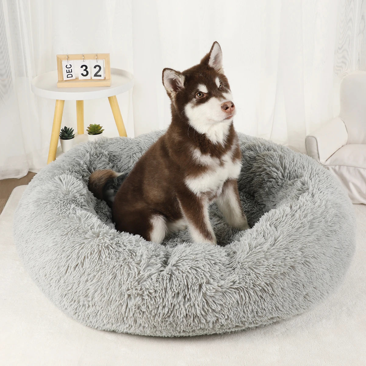 The Original Haven™ Calming Dog Bed