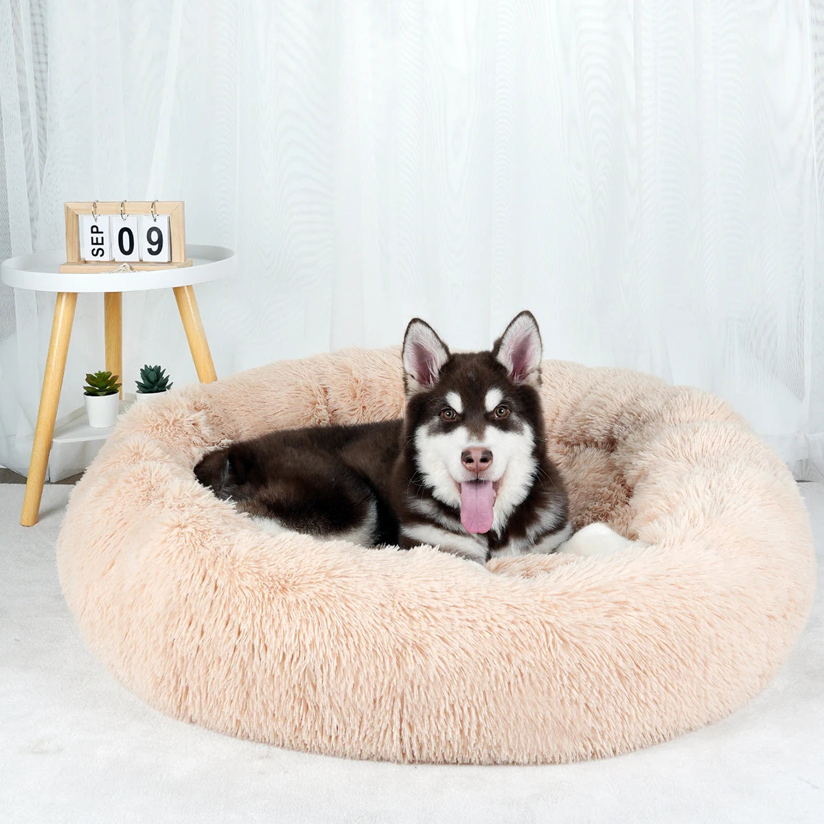 The Original Haven™ Calming Dog Bed