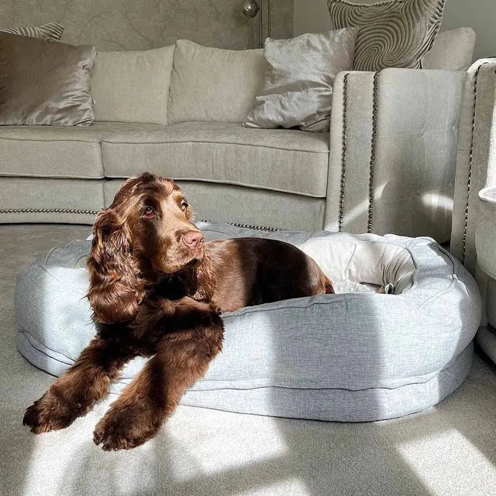 Orthopedic Calming Dog Bed – Washable Waterproof Donut Bed for Puppies & Large Dogs