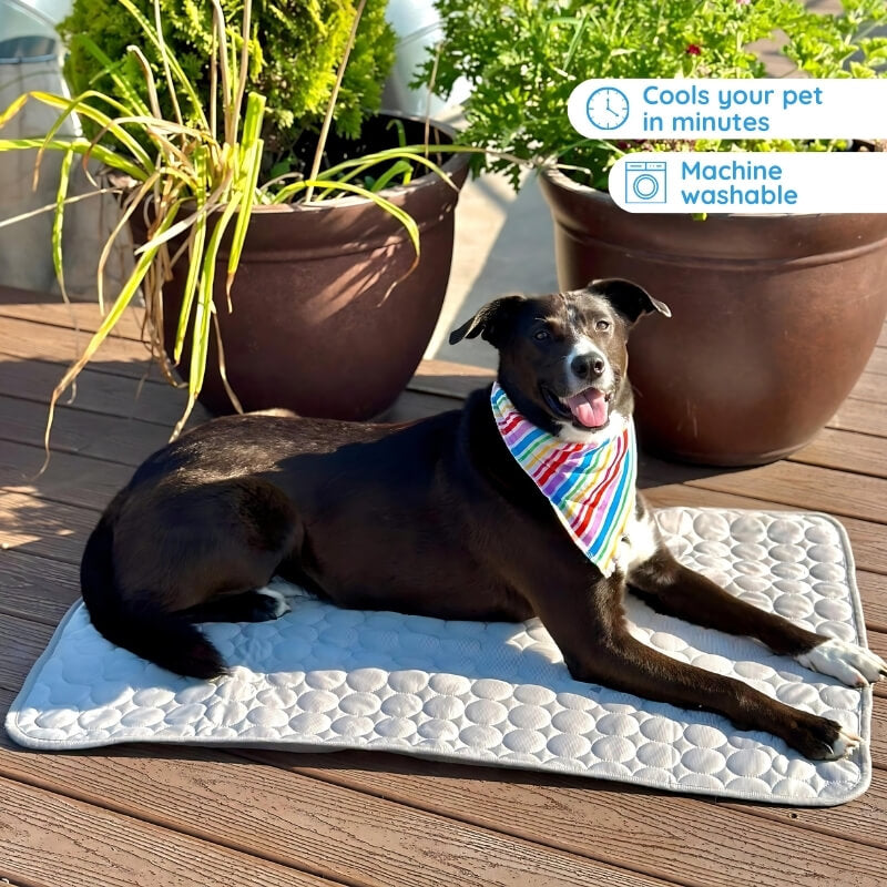 Cooling Mat for Dogs
