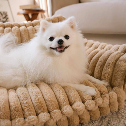Large Orthopedic Dog Sofa Bed