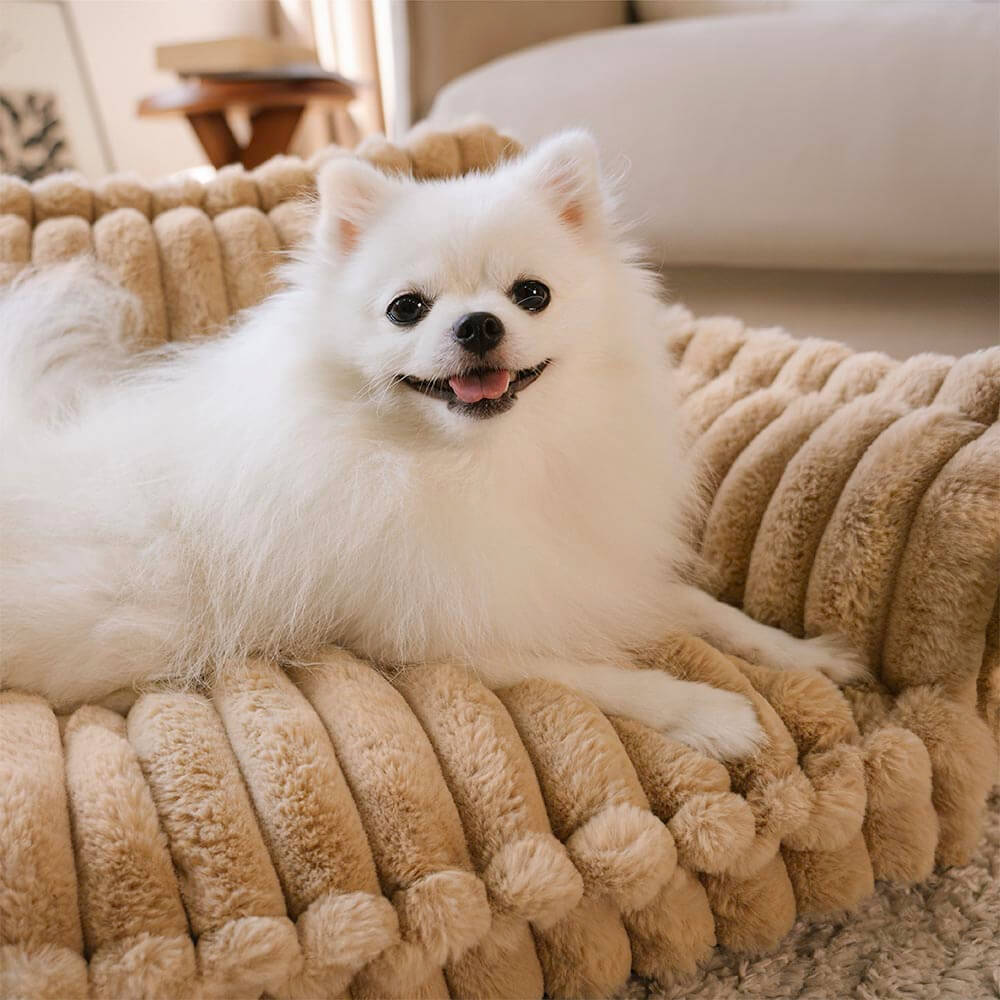 Large Orthopedic Dog Sofa Bed