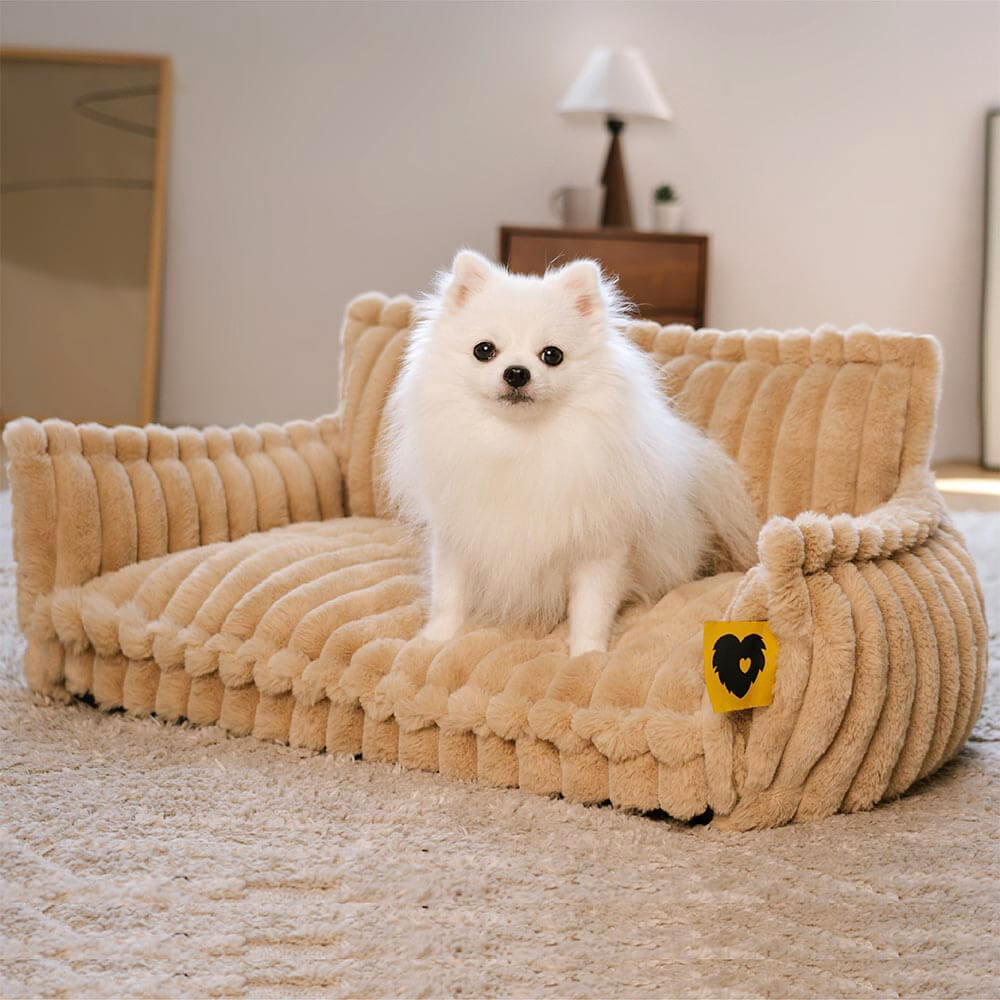Large Orthopedic Dog Sofa Bed
