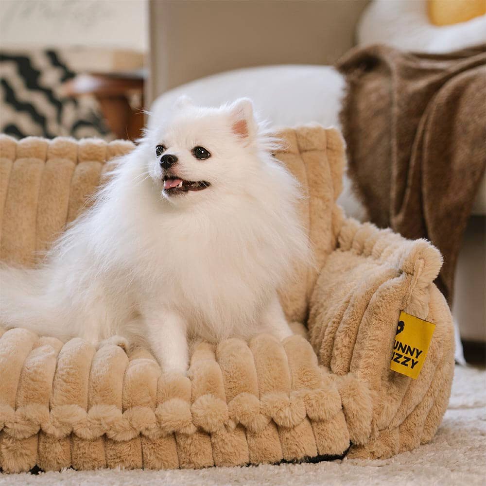 Large Orthopedic Dog Sofa Bed