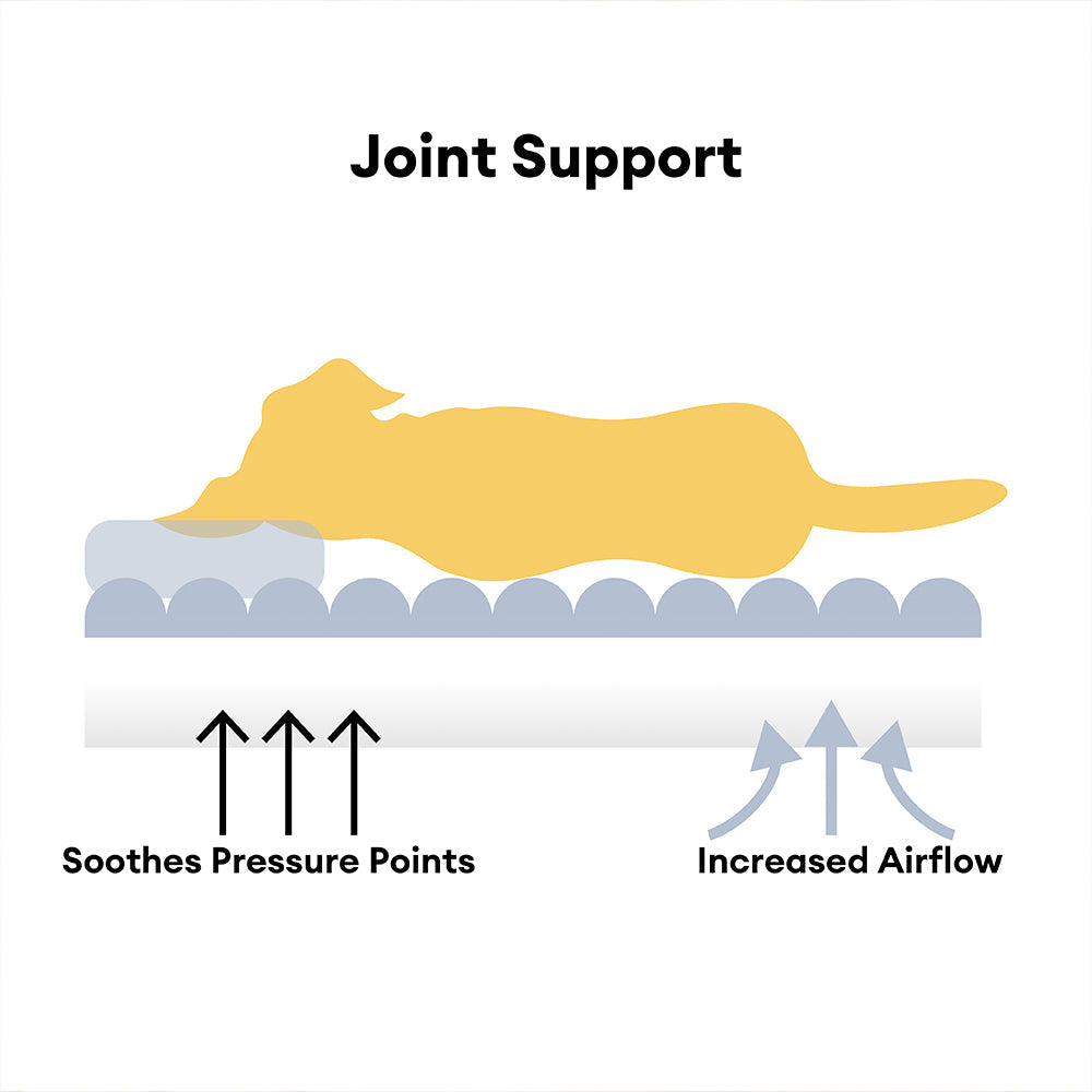 Large Orthopedic Dog Sofa Bed