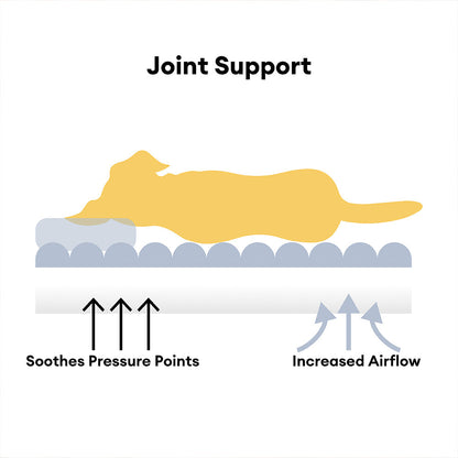 Large Orthopedic Dog Sofa Bed