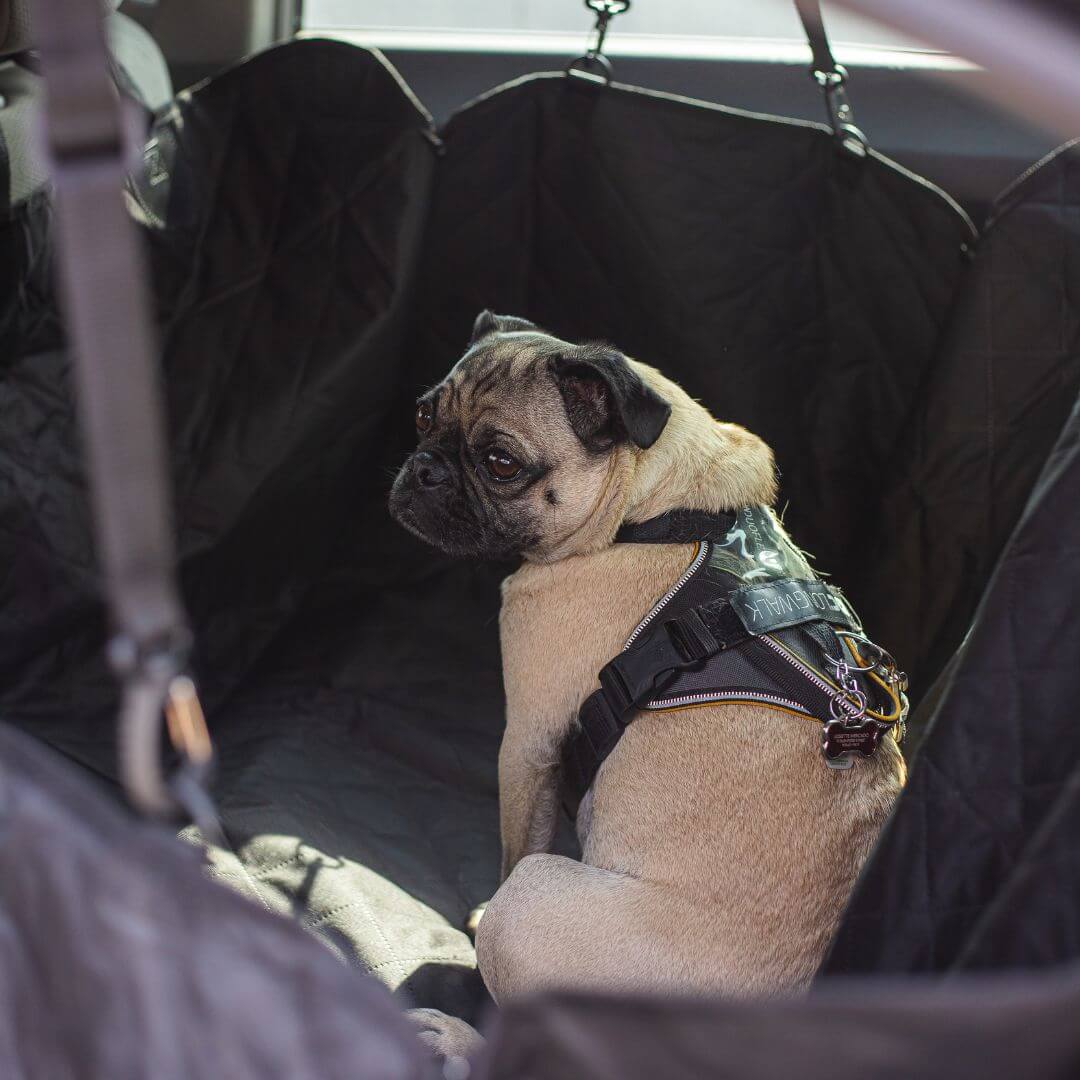 Car Seat Cover for Dogs