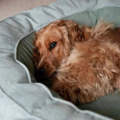 Orthopedic Calming Dog Bed – Washable Waterproof Donut Bed for Puppies & Large Dogs