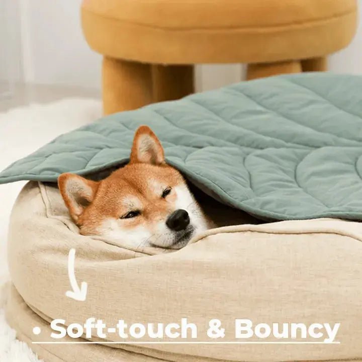 Orthopedic Calming Dog Bed – Washable Waterproof Donut Bed for Puppies & Large Dogs