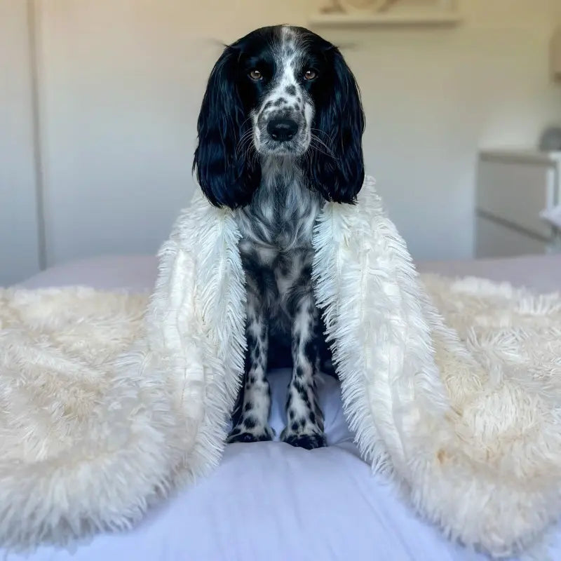 Anxiety Relieving Fluffy Pet Blanket