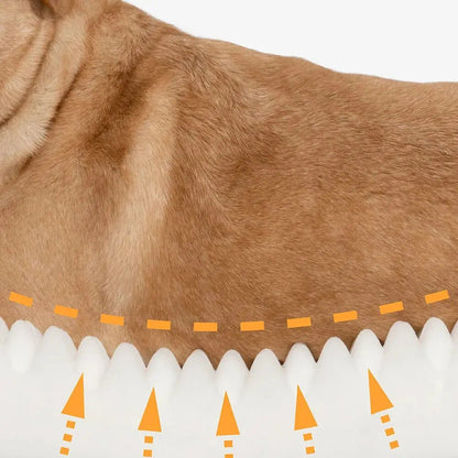 Orthopedic Calming Dog Bed – Washable Waterproof Donut Bed for Puppies & Large Dogs