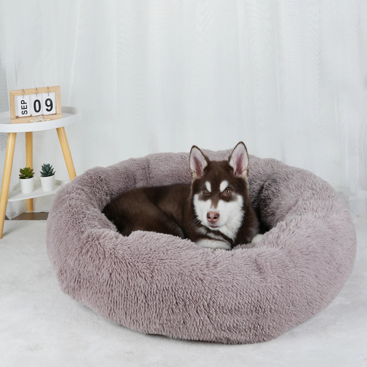 The Original Haven™ Calming Dog Bed