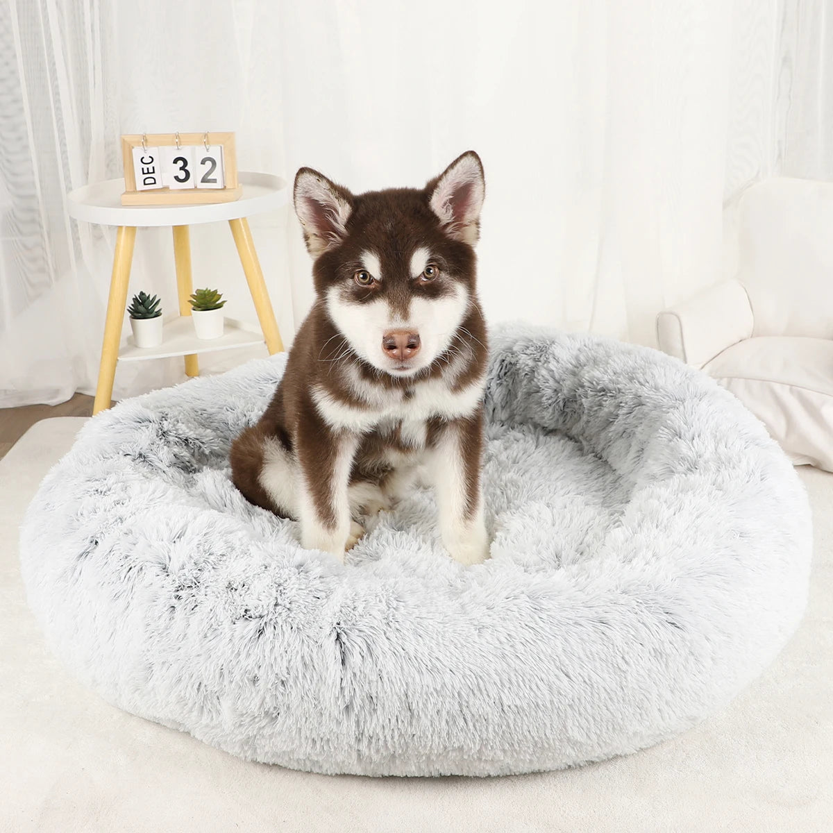 The Original Haven™ Calming Dog Bed