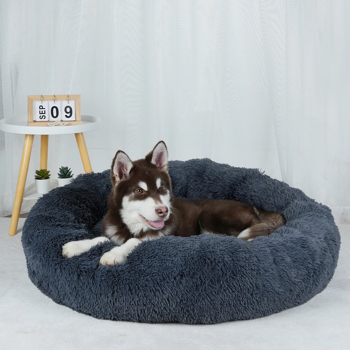 The Original Haven™ Calming Dog Bed