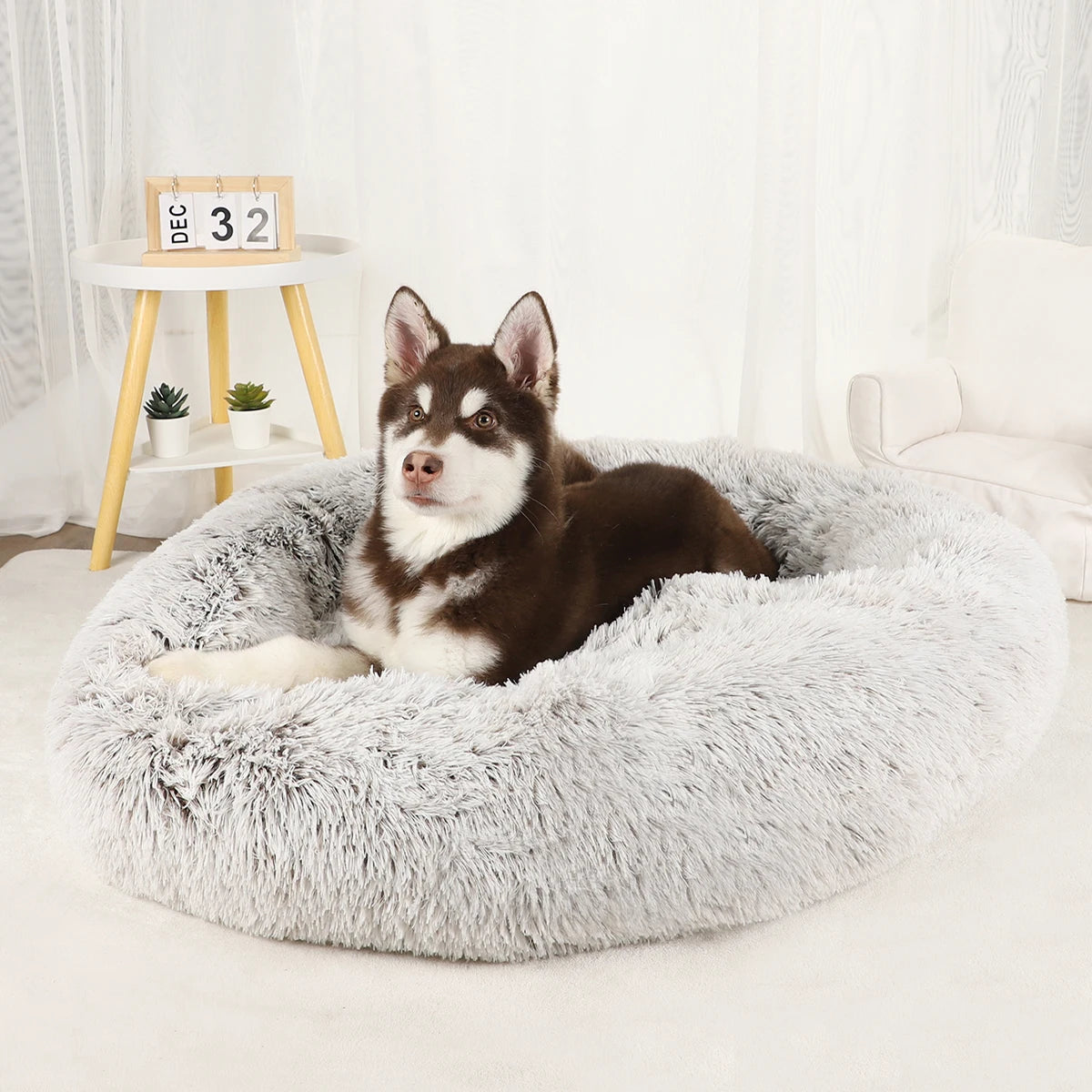 The Original Haven™ Calming Dog Bed