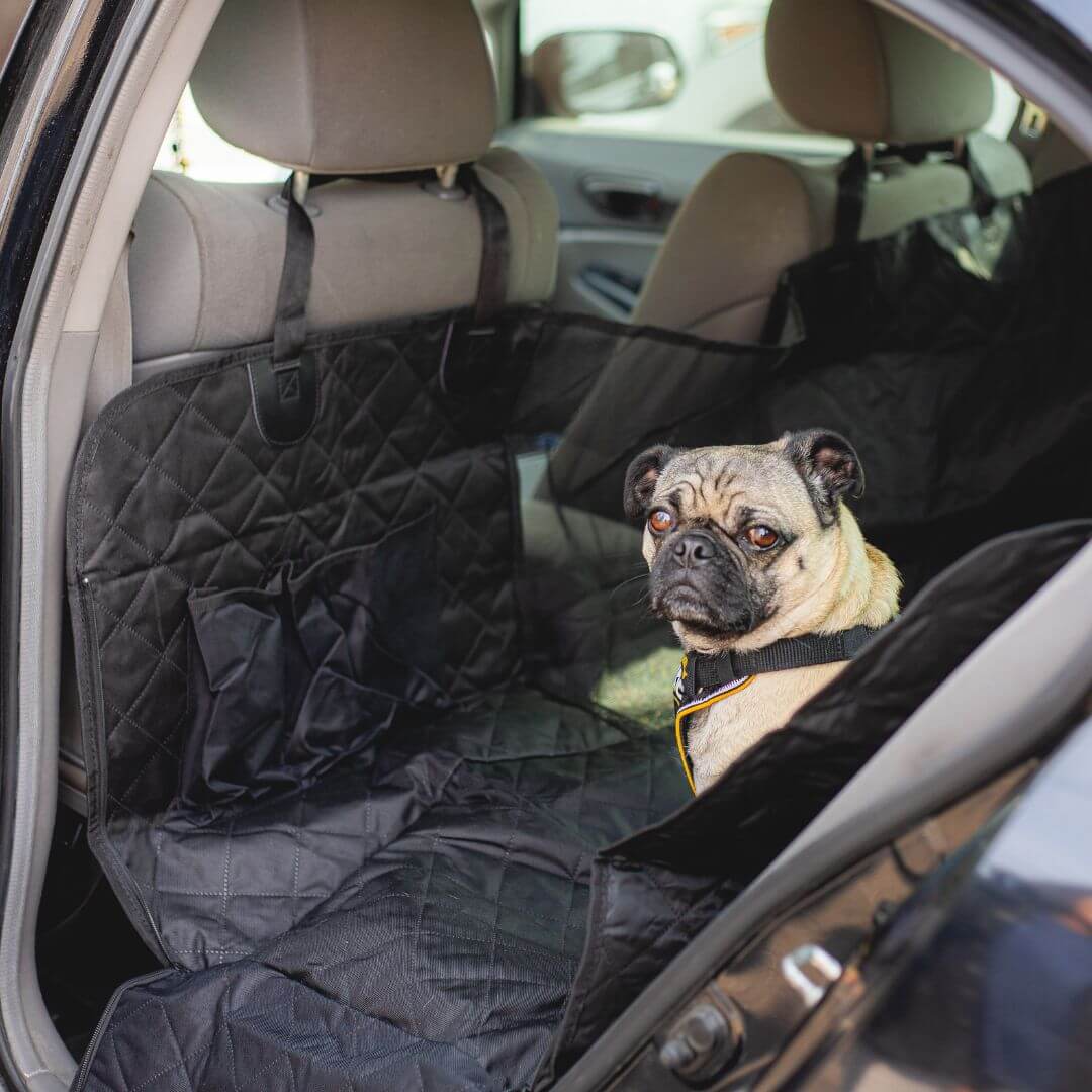 Car Seat Cover for Dogs