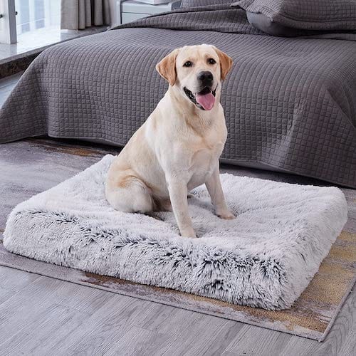 Ultimate Comfort Calming Dog Bed