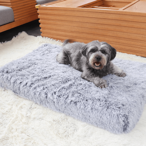 Ultimate Comfort Calming Dog Bed