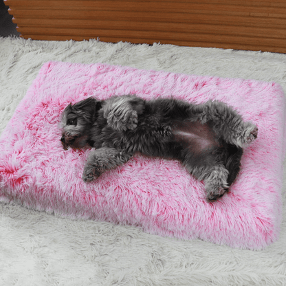 Ultimate Comfort Calming Dog Bed