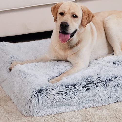Ultimate Comfort Calming Dog Bed