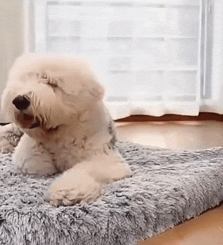 Ultimate Comfort Calming Dog Bed