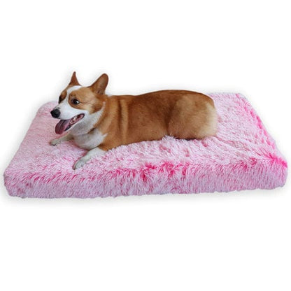 Ultimate Comfort Calming Dog Bed