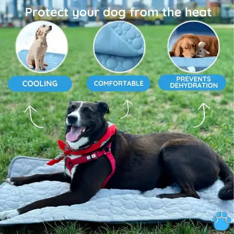 Cooling Mat for Dogs