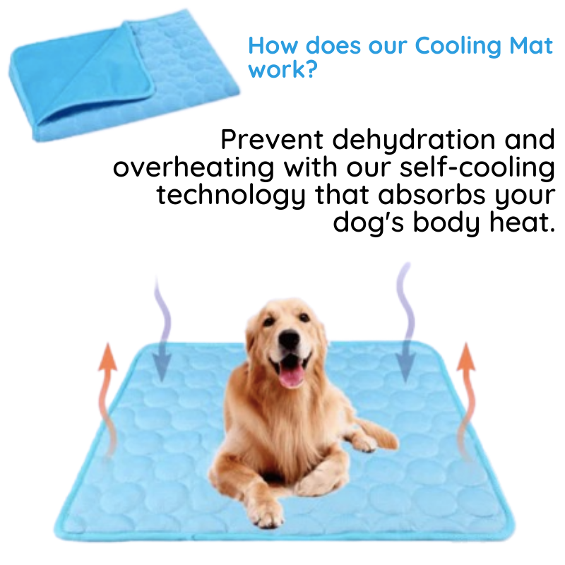 Cooling Mat for Dogs