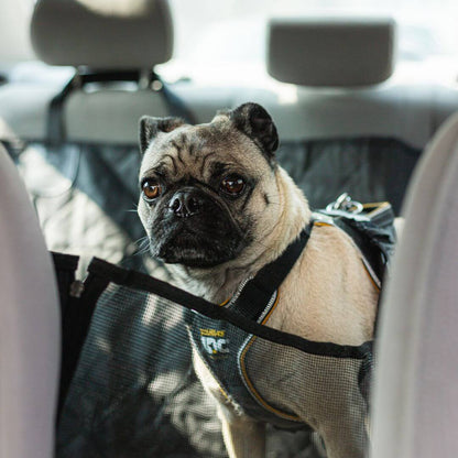Car Seat Cover for Dogs